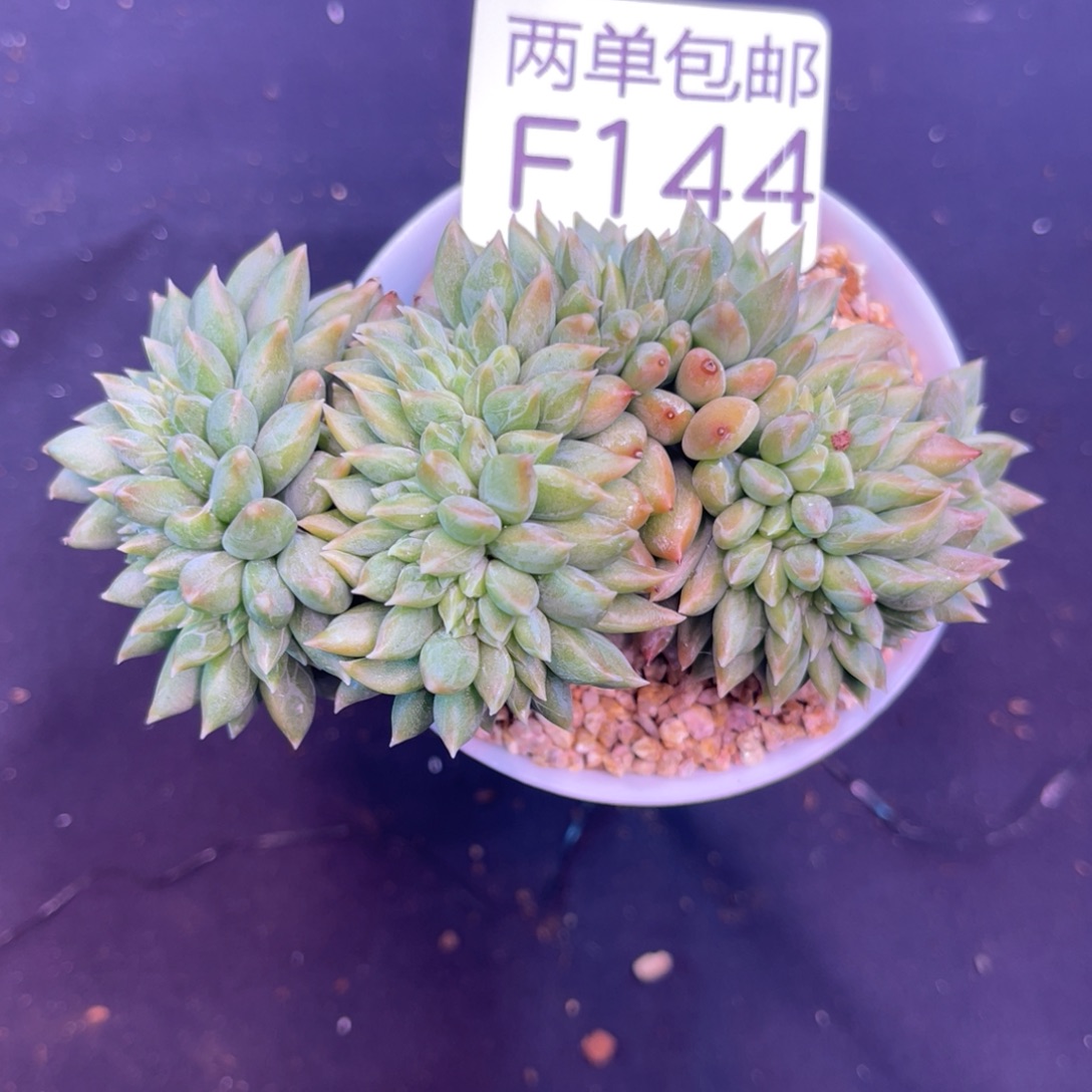 哈哈哈哈哈哈哈144