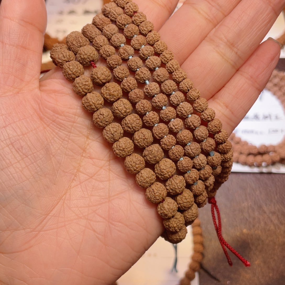 金刚菩提吊坠446古树盘龙5-8