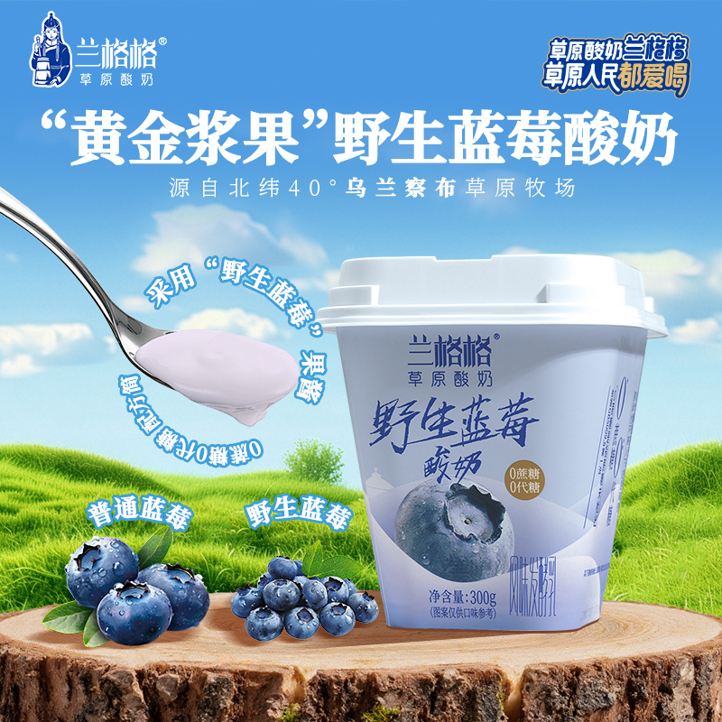 【兰格格】内蒙古草原酸奶系列野生蓝莓300g简单配方双专利菌种DB