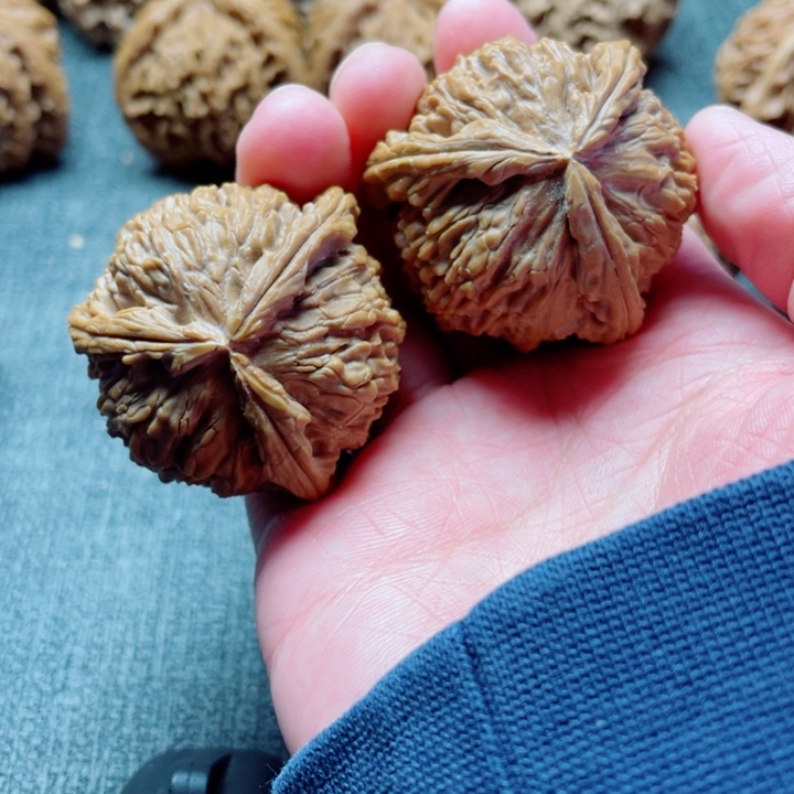 董*手工三棱白狮子三棱