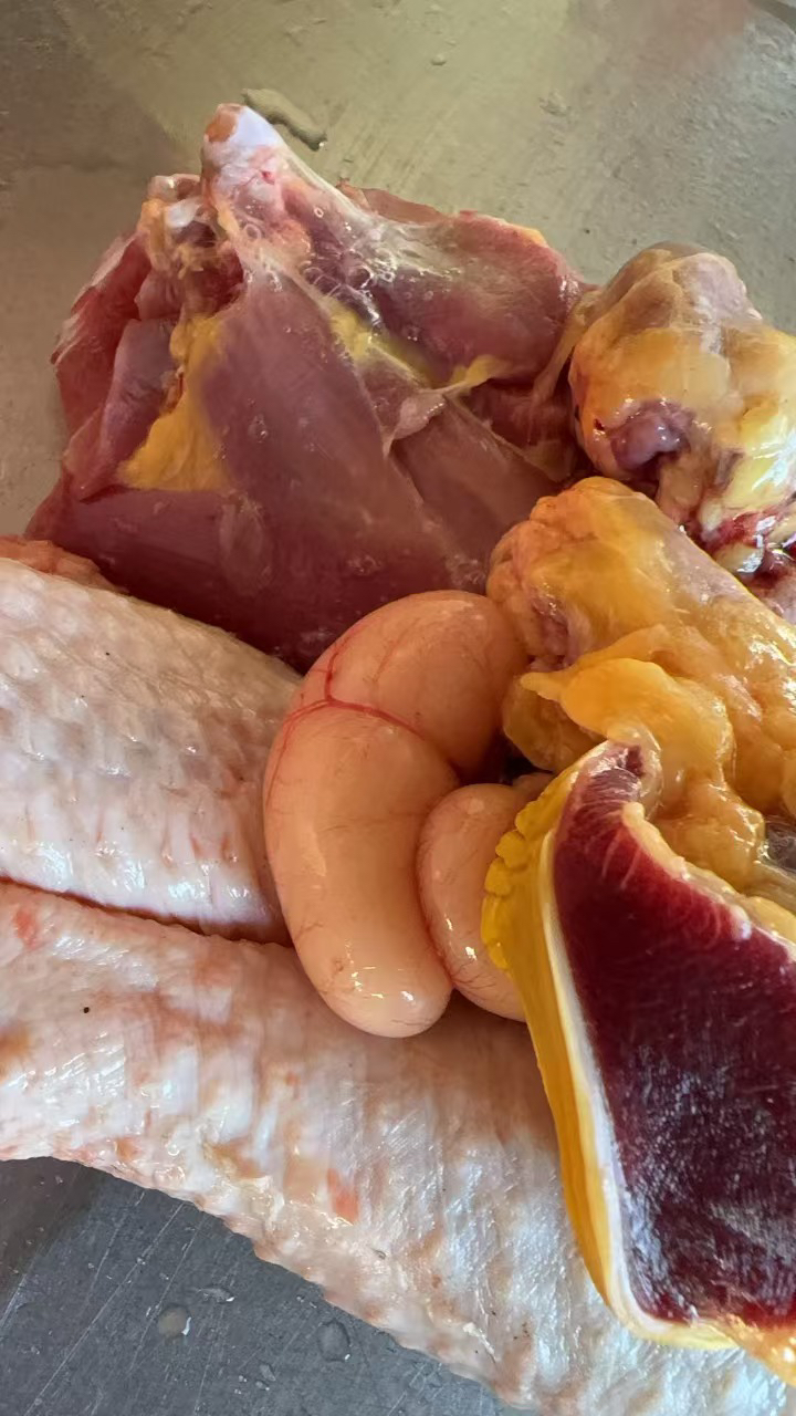 纯粮喂养散养八个月以上芦花鸡