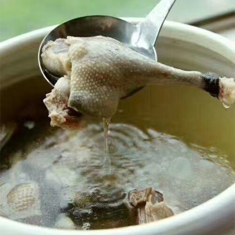 连城白鸭 农家散养土鸭子白鹭鸭肉现杀新鲜老鸭整只