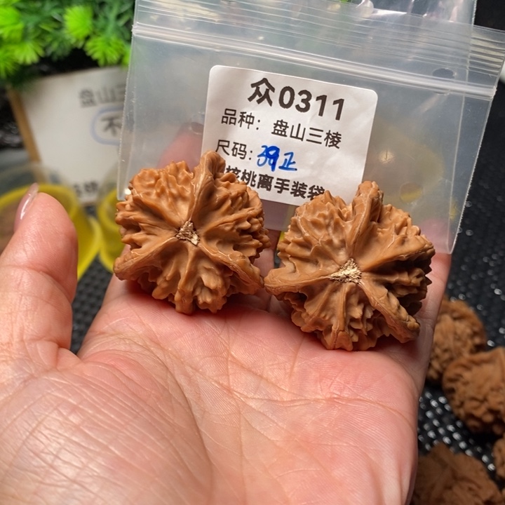 笑***生桃核吊坠众0311-2025全品盘山39福利