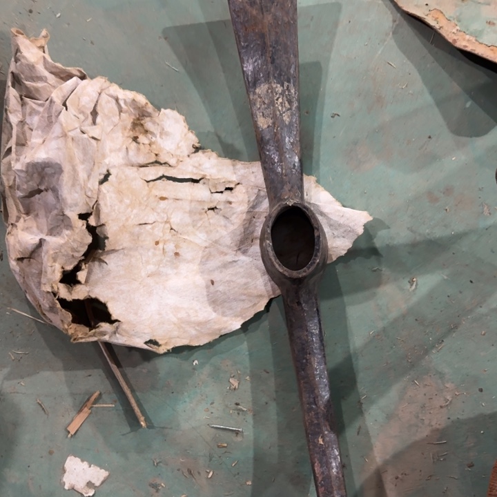 大号一个发货大号的搞