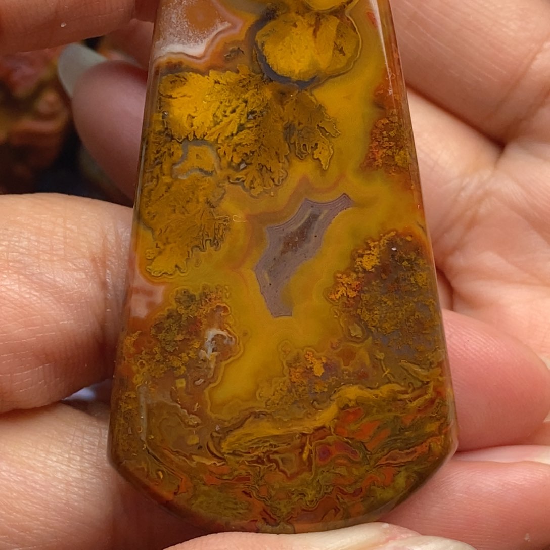 玛瑙/玉髓颈饰未镶嵌战国红