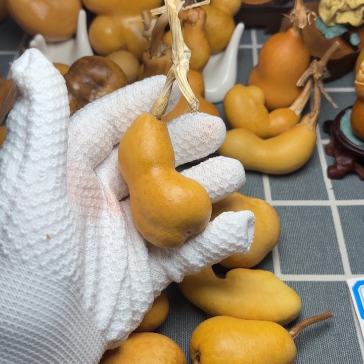 小***颖印666666666666666