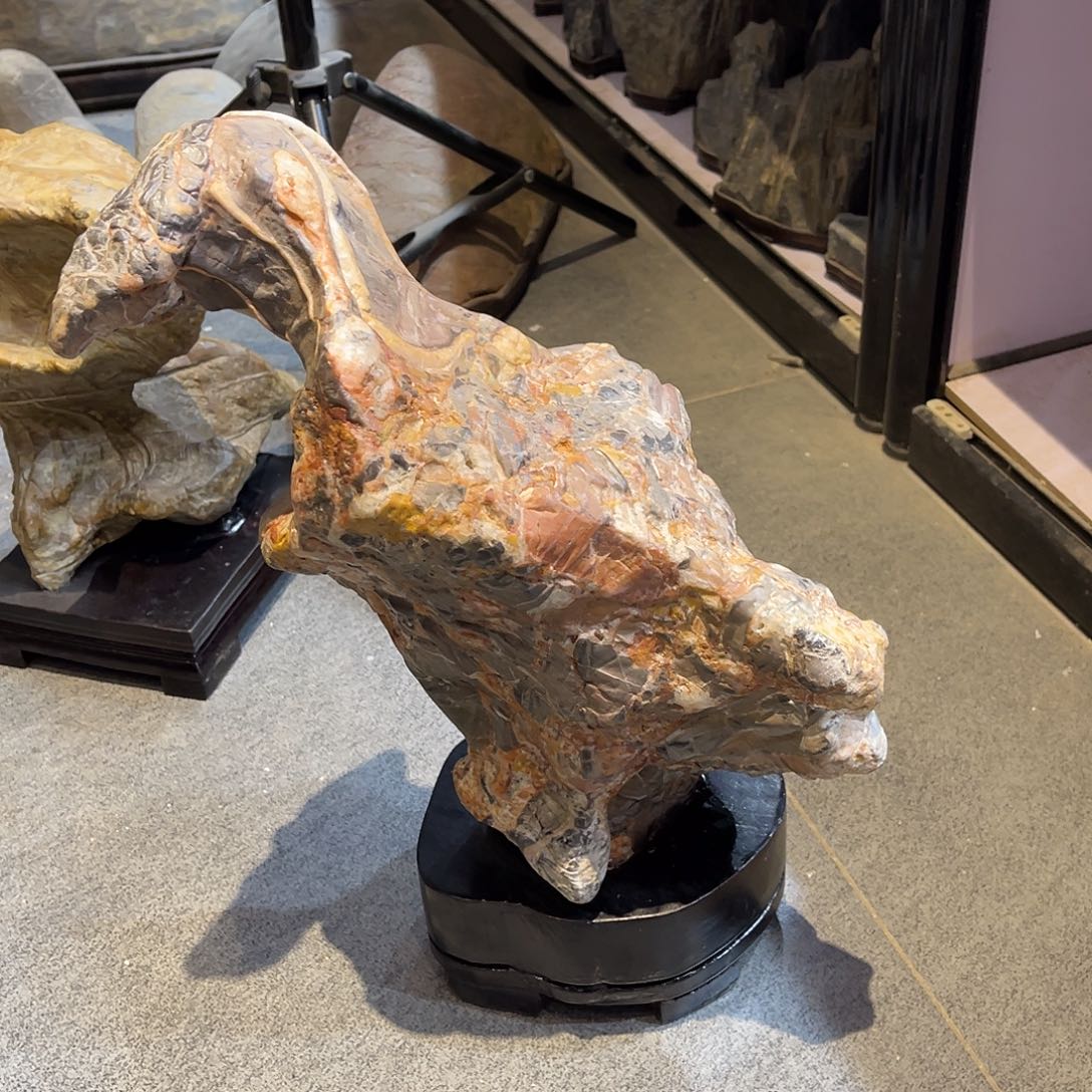 紫砂我也想说我现在是辞*