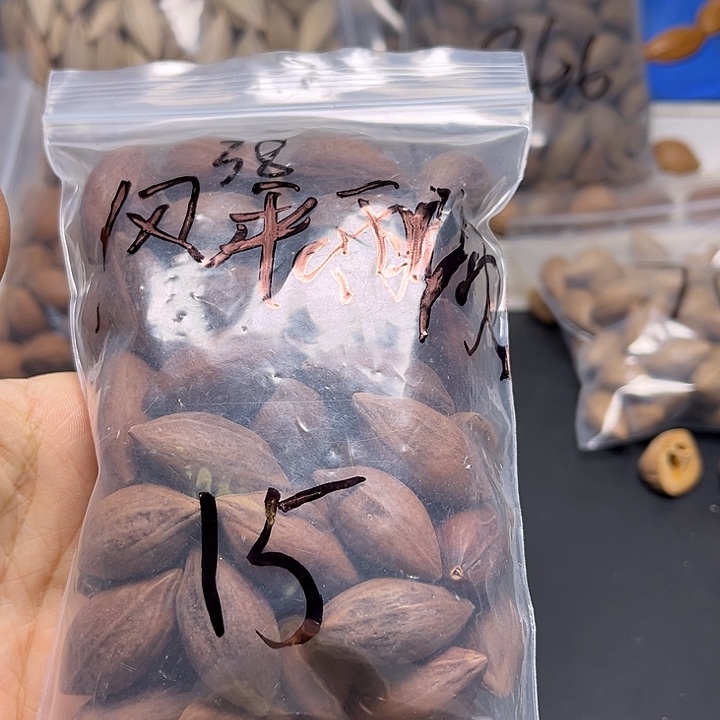 风***顺手串/手链橄榄核1111