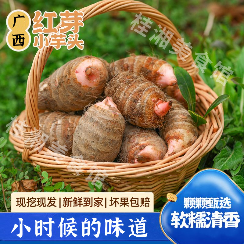 广西荔浦红芽芋头新鲜香芋软糯毛芋头农家芋艿芋子非牛奶小芋头仔