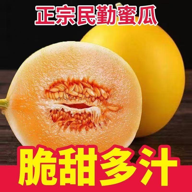 正宗甘肃民勤蜜瓜沙漠黄皮大甜瓜脆大瓜新鲜应季水果L