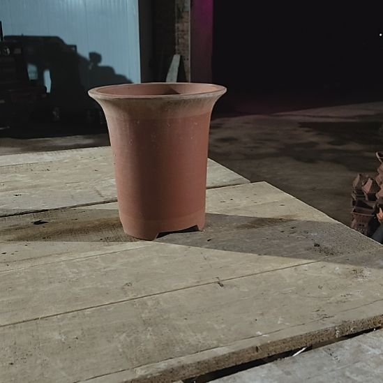 兰花高27口径24红两个