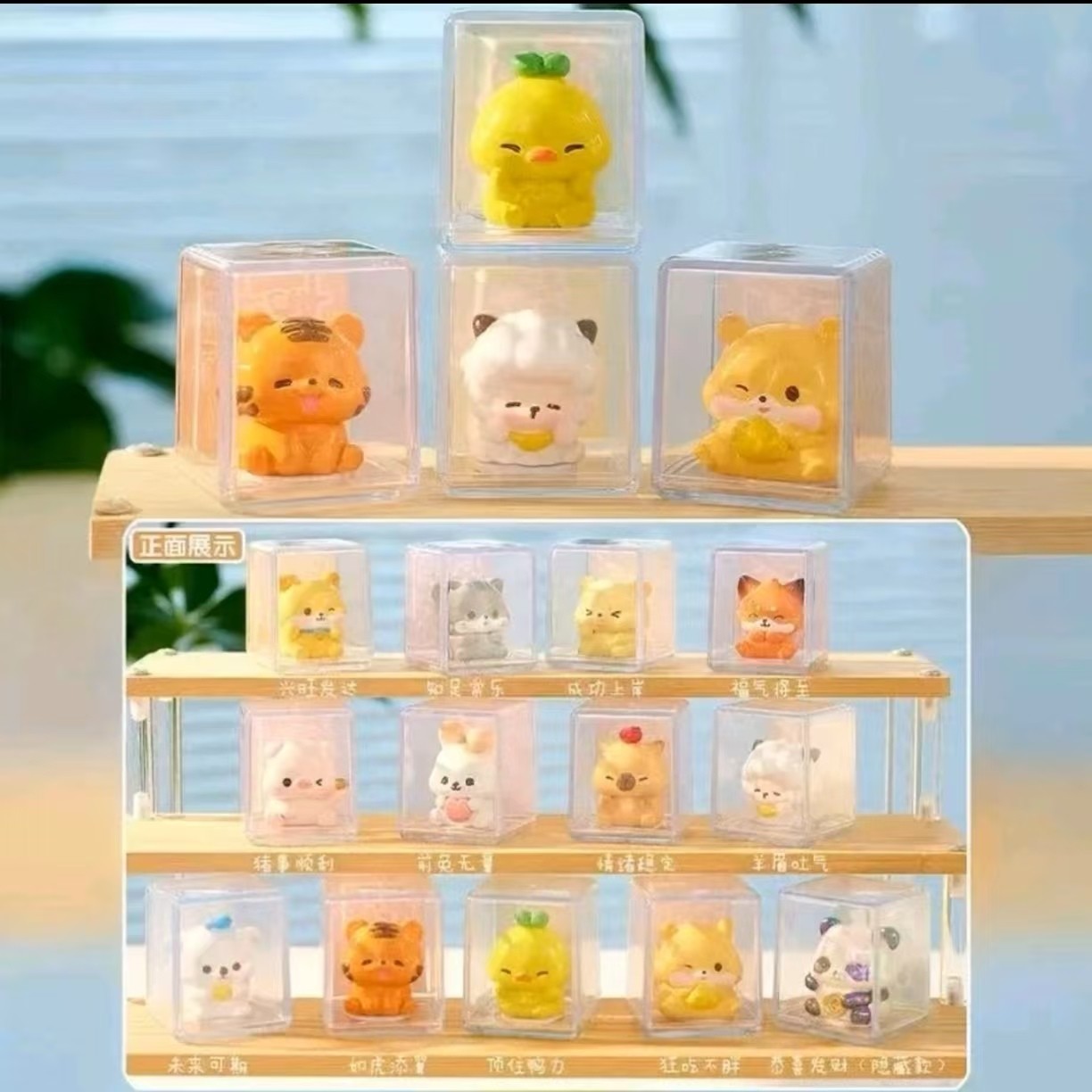 【好运连连】遥遥拆盲盒