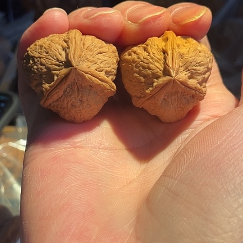 把件文玩核桃三棱手捻32