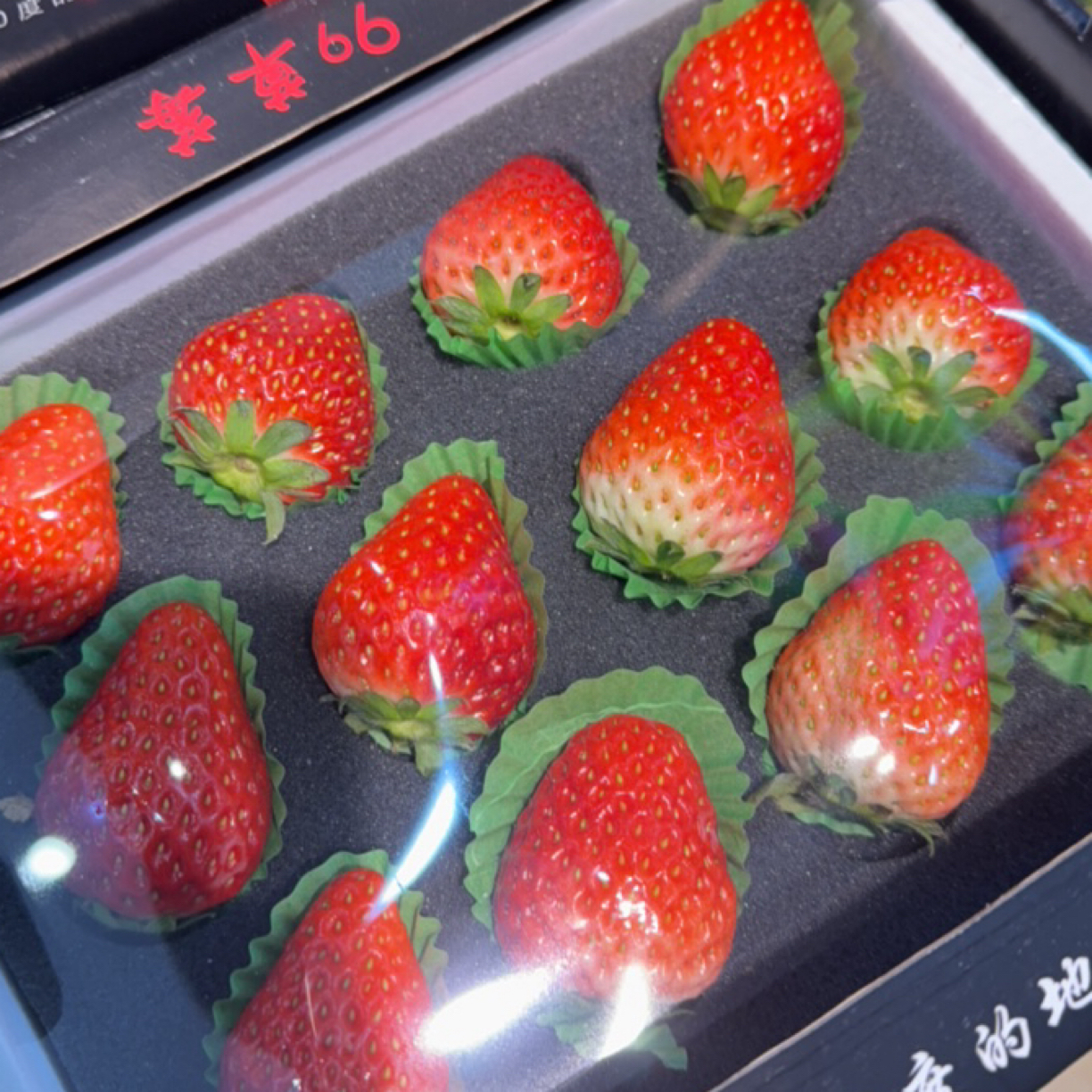 丹东九九草莓一盒安徽省