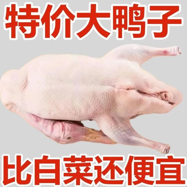 新鲜白条鸭樱桃谷整只冷冻瘦肉型鸭子饭店商用批发