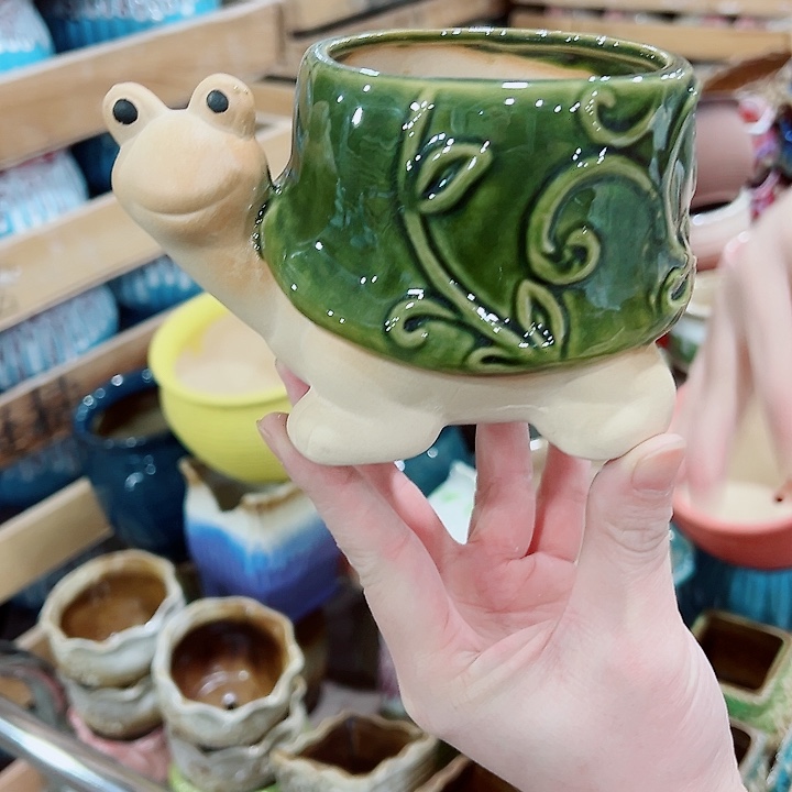 有孔，凑单福利满10元发货陶瓷多肉花盆！