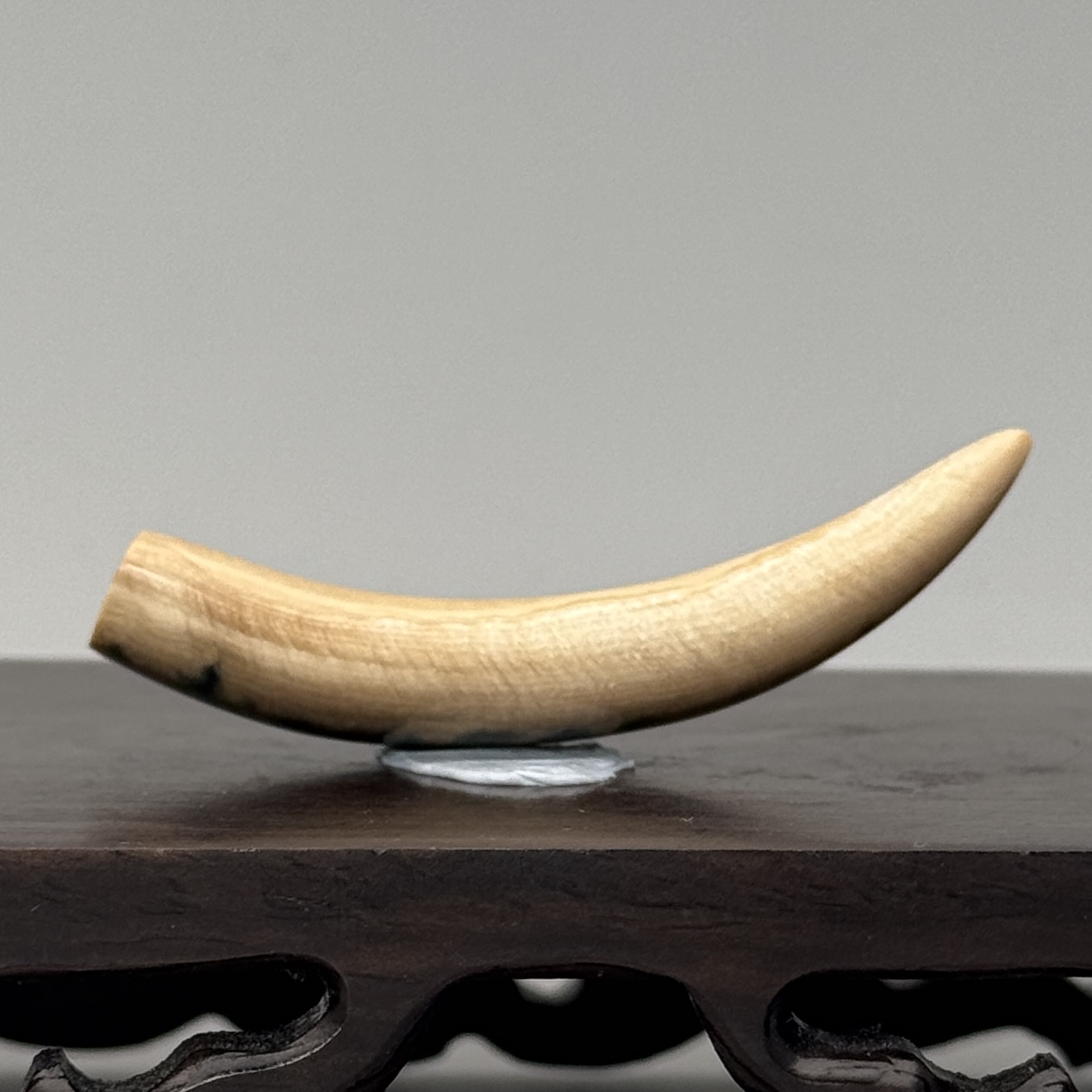 DEZHI/德志55*12*8mm6.6g牙尖吊坠天然猛犸牙C655