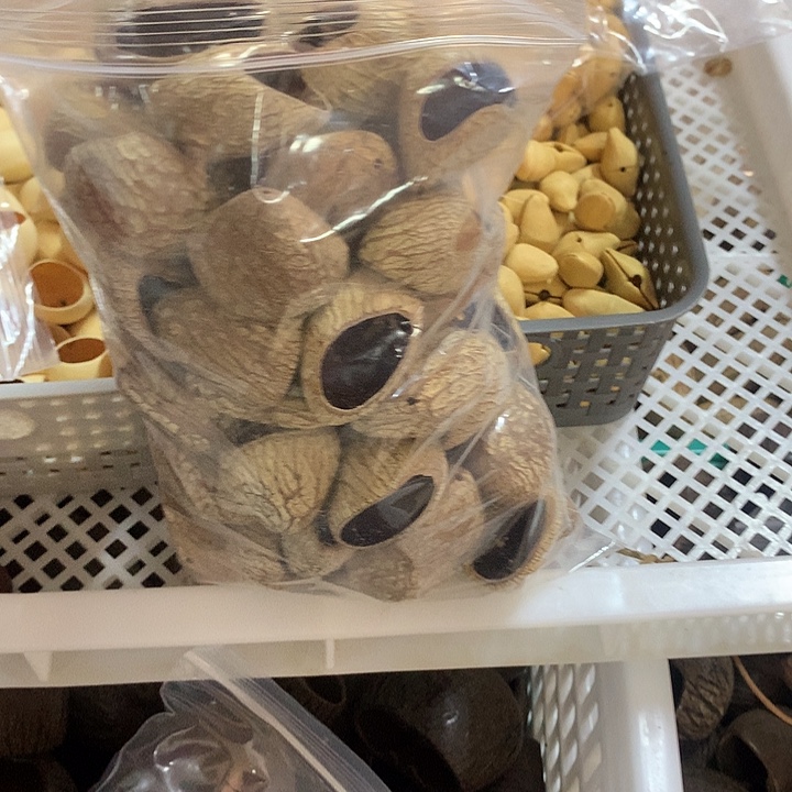 吊坠千眼菩提随形印尼黑果壳50个