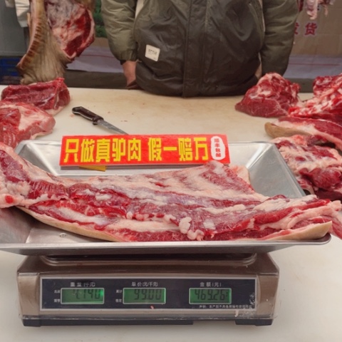 【闪购商品】冷冻保存30天包装河北省