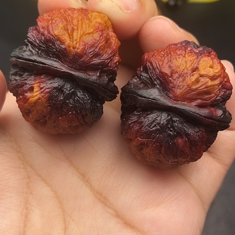 文玩核桃把件40尺云南核桃