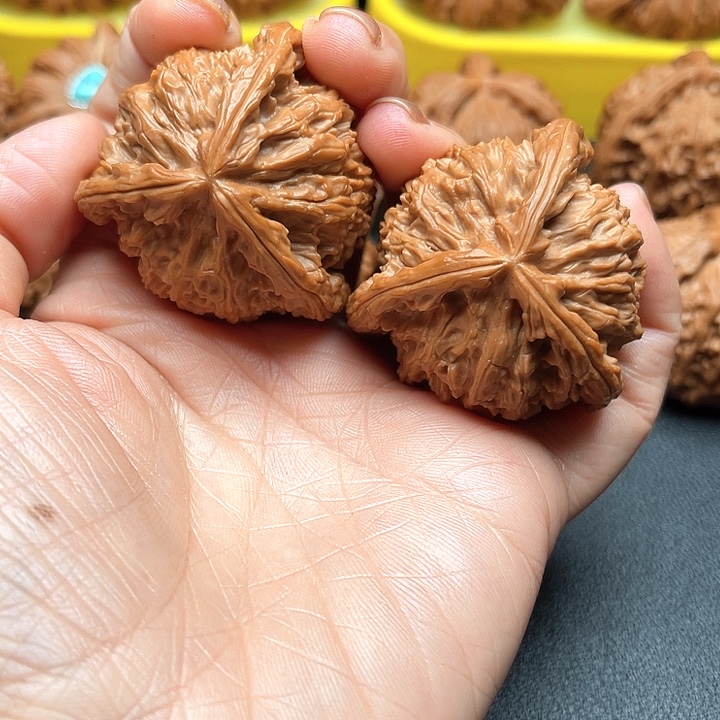 核桃42尺白狮子拼接3棱