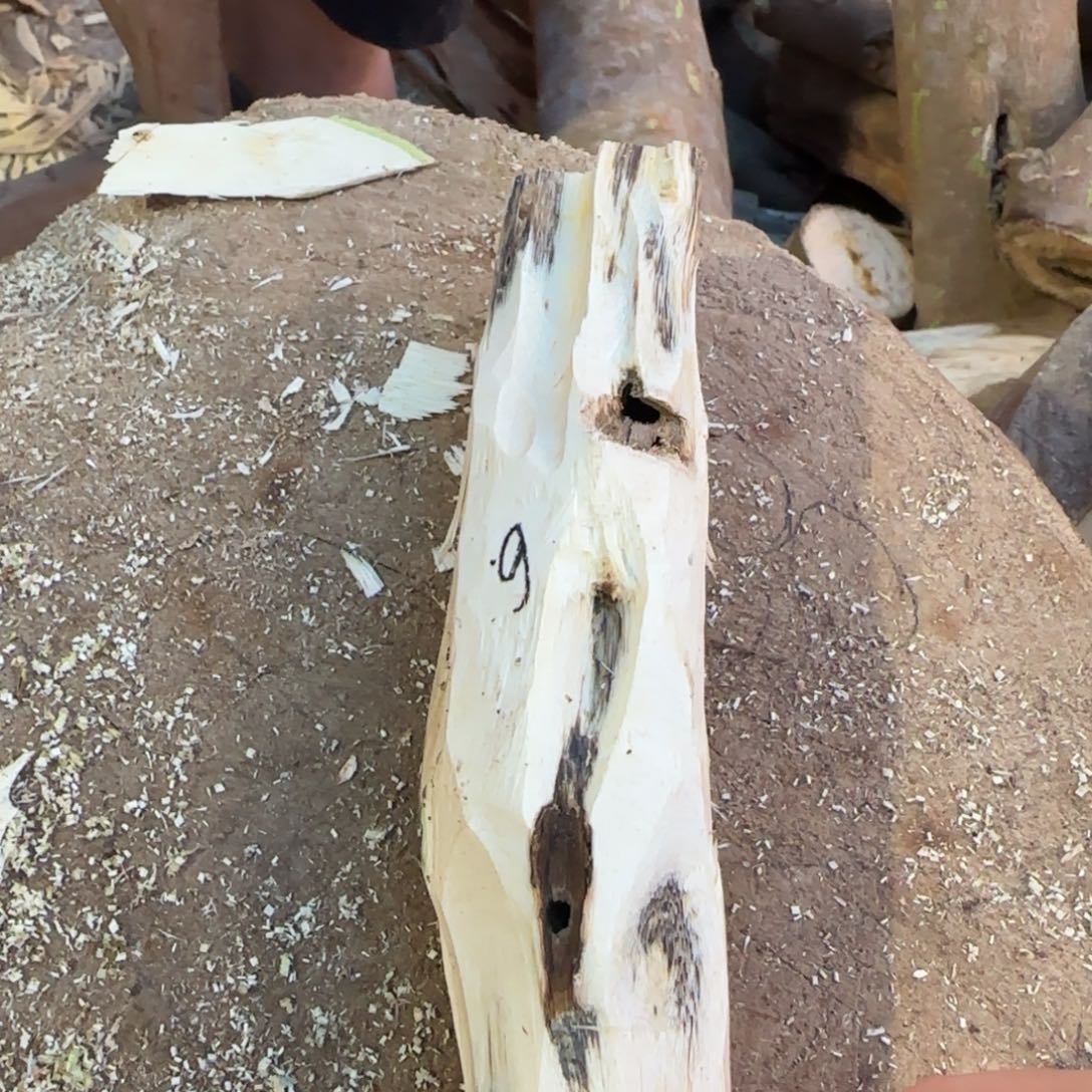 树脂制品6号奇楠原木虫漏一个
