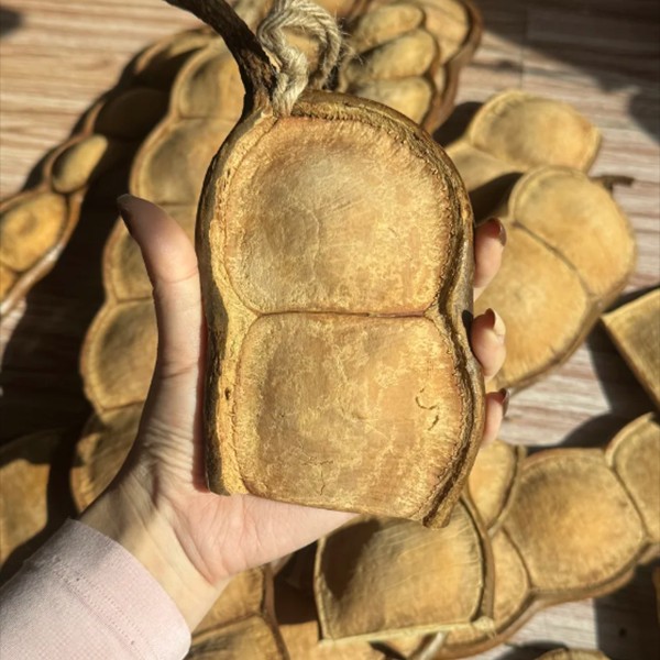 榼藤豆荚放漏一箱 漏品不售后