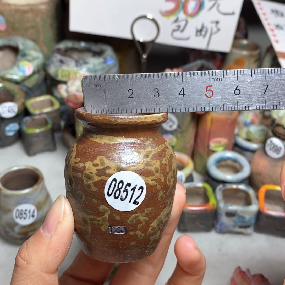 花盆拍5送一个小礼物