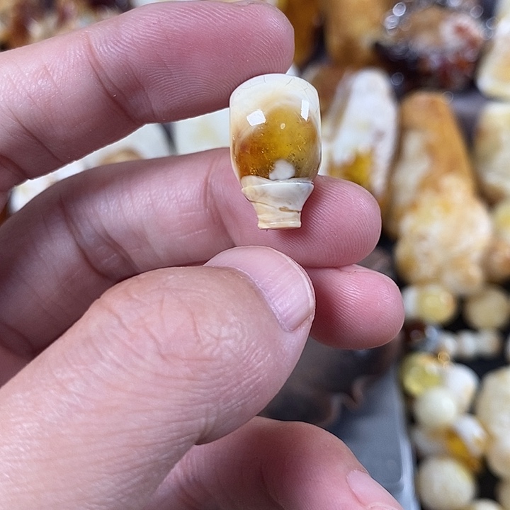 裸石琥珀未镶嵌我