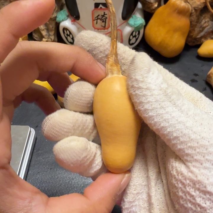 泰***帝66…………………………………………