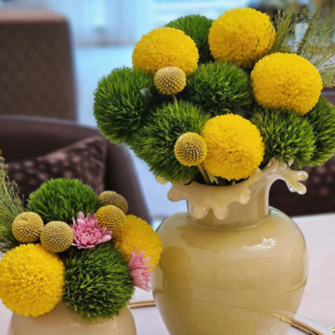 黄金球搭配组合 2单冷链包邮