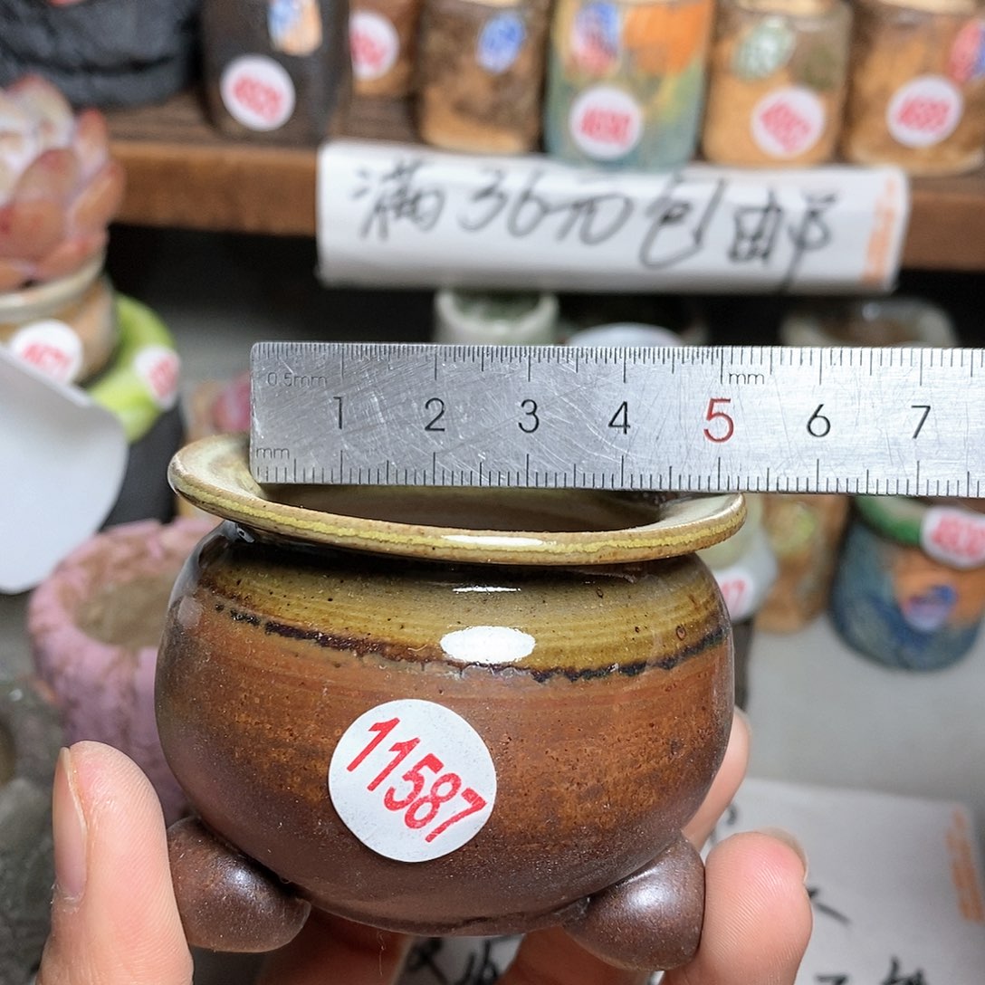 红陶拍5送一个小