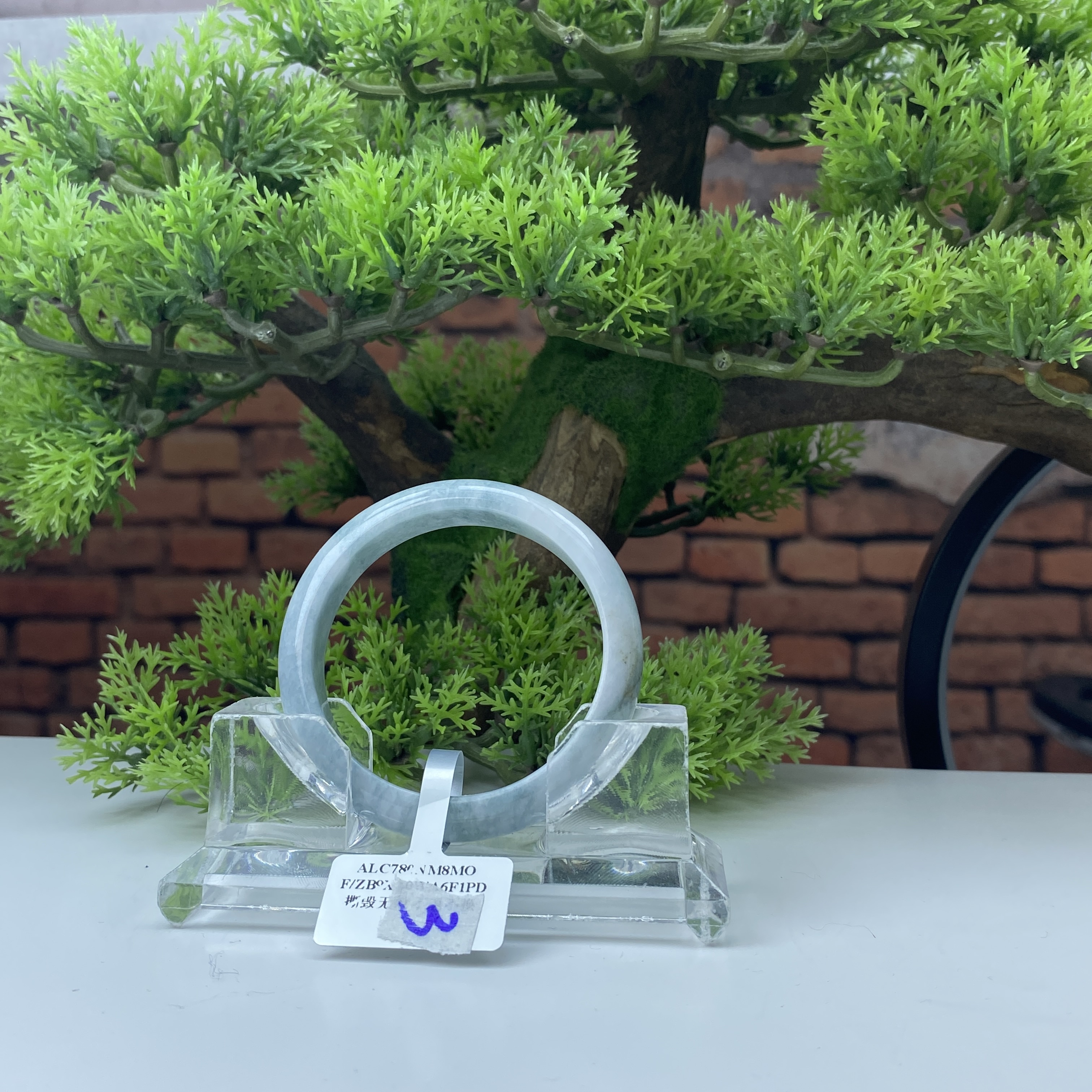 51.7【刀客砍价王】燕子-天然缅甸A货翡翠手镯 (微瑕)  C3