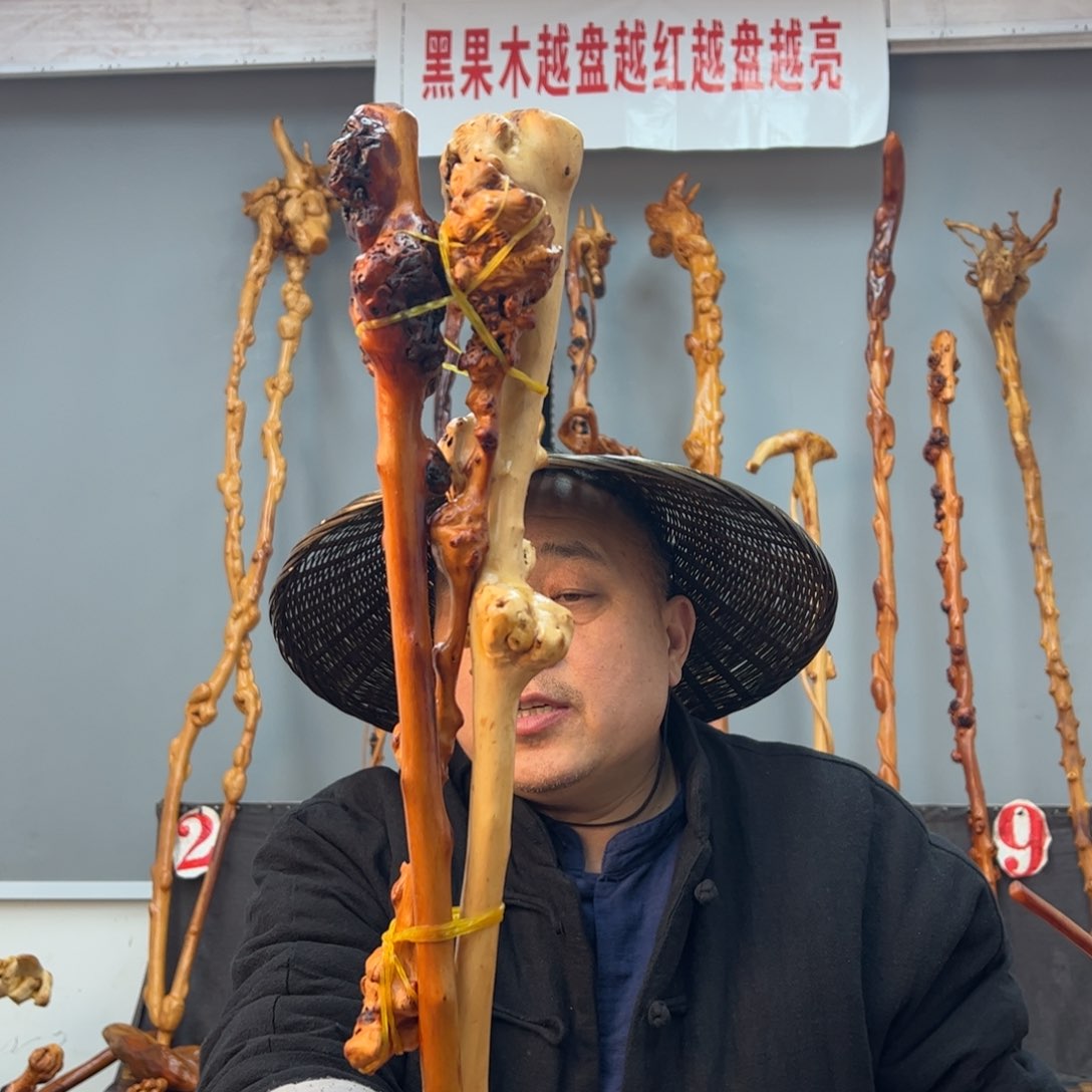 黑果木其他黑果木230