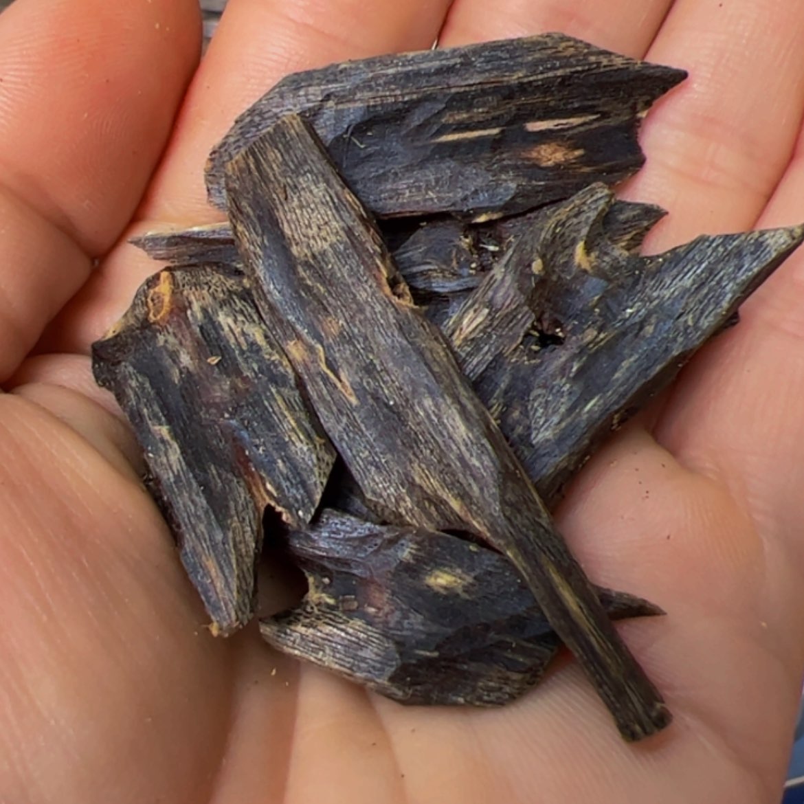 【闪购商品】沉香手把件奇楠紫棋高端老块料10克