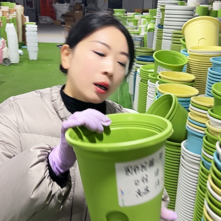 正品圆控口18高18果绿8只无托