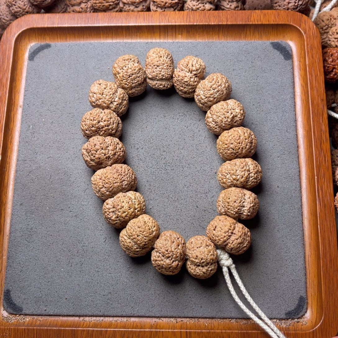 菩提籽类10号金刚菩提夹板菠萝蜜22+