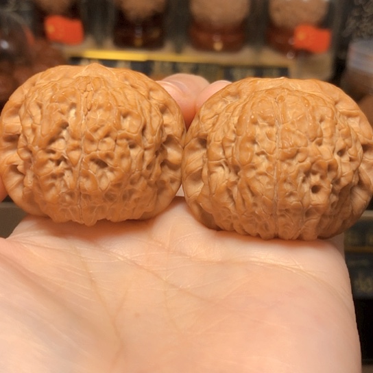 精品：平谷血麒麟全品