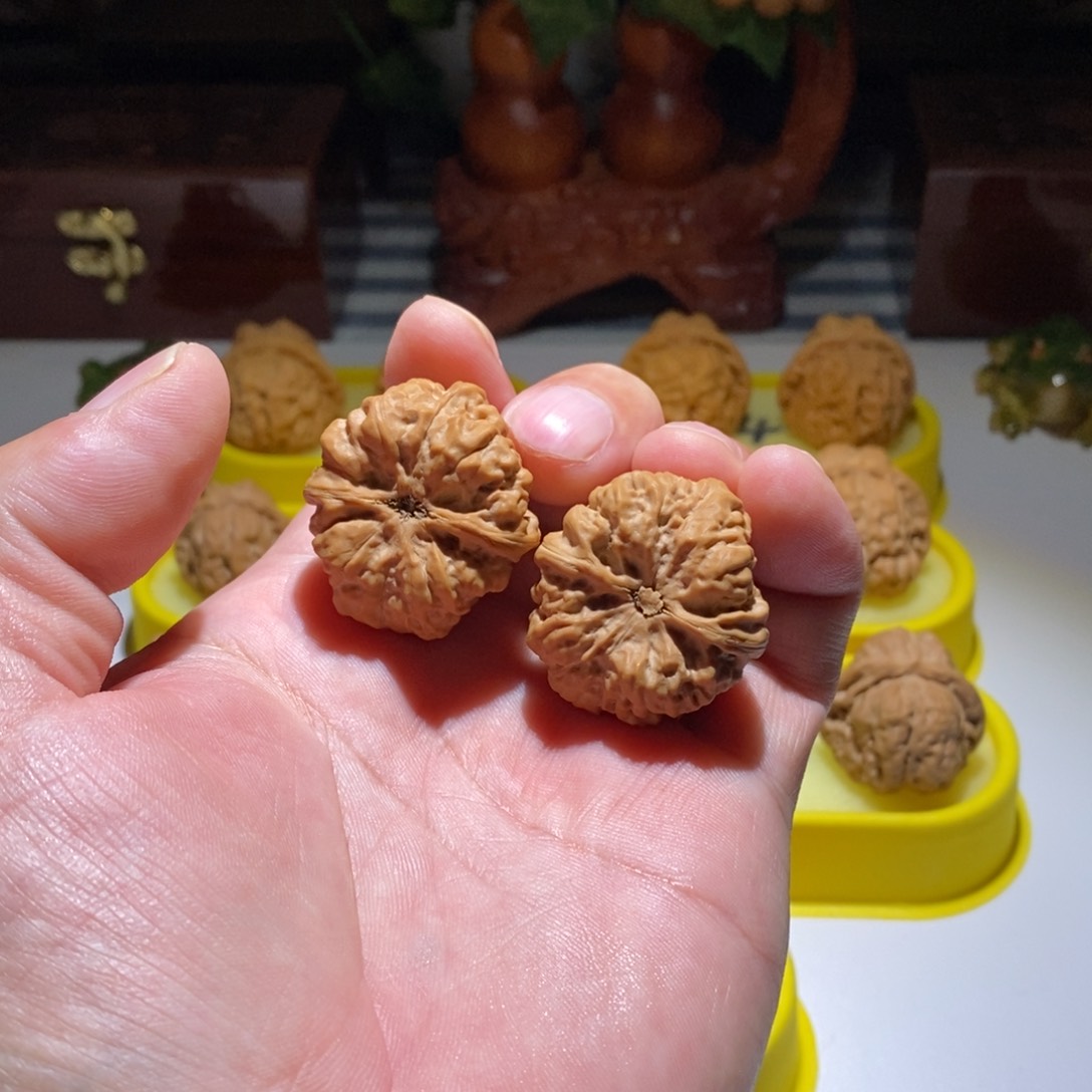 文玩核桃吊坠鲨**椒昌平蛙直播中欢迎选购