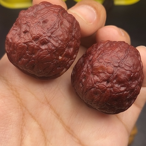 文玩核桃把件38尺云南荷叶金蟾把玩物件