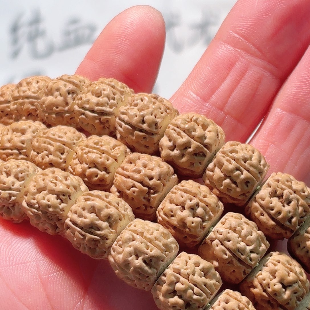 遇***点印度尼西亚小金刚潜水艇长串11大加