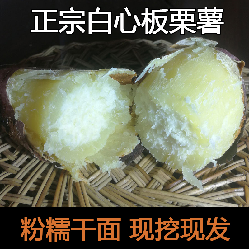 【25年新薯】正宗白心板栗薯新鲜红薯红皮白瓤番薯山芋粉糯干面