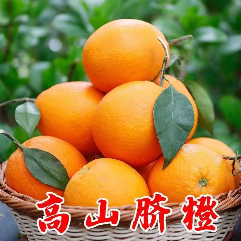 奉节纽荷尔橙应季水果现摘新鲜高山甜橙皮薄多汁果冻橙
