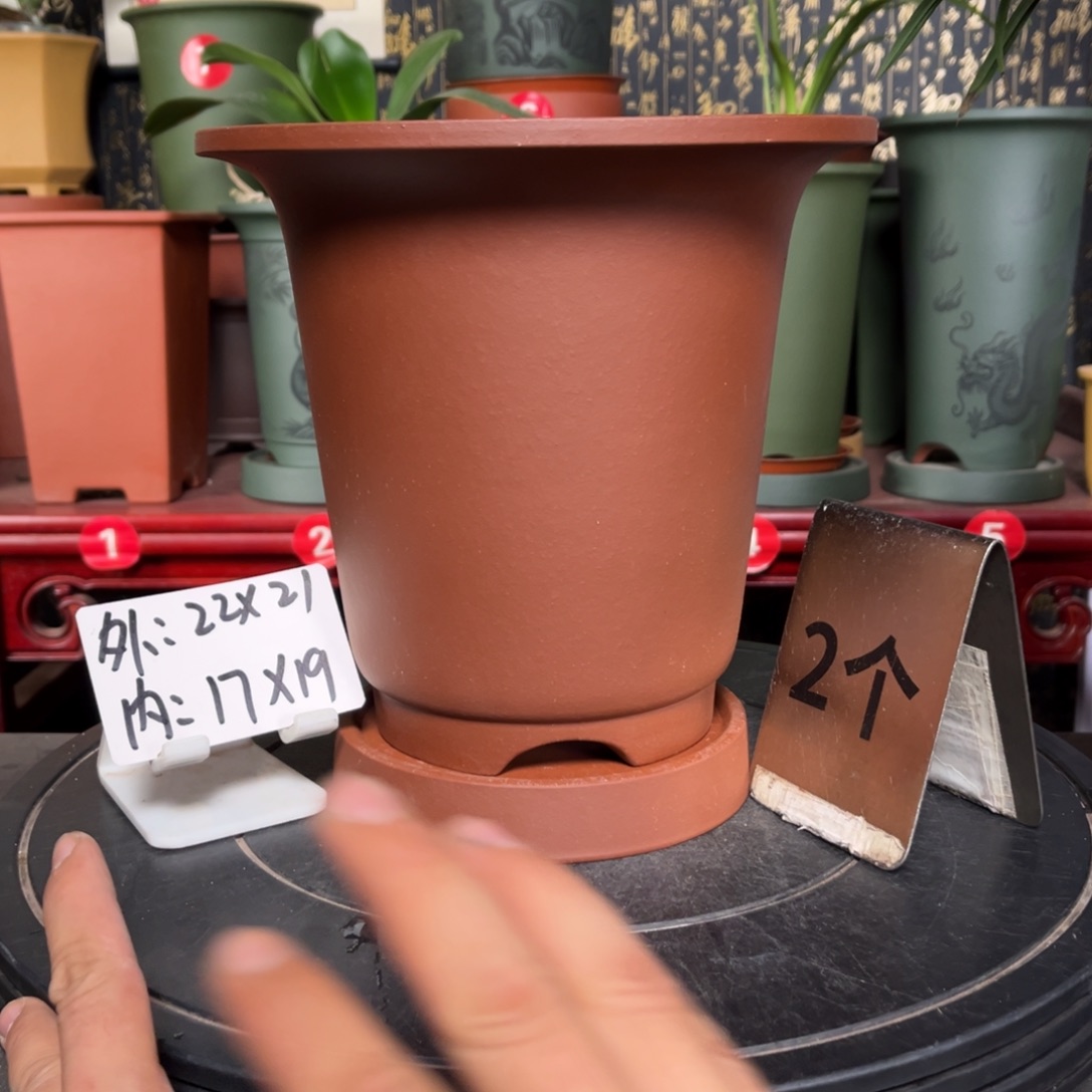 紫砂花盆紫砂花盆