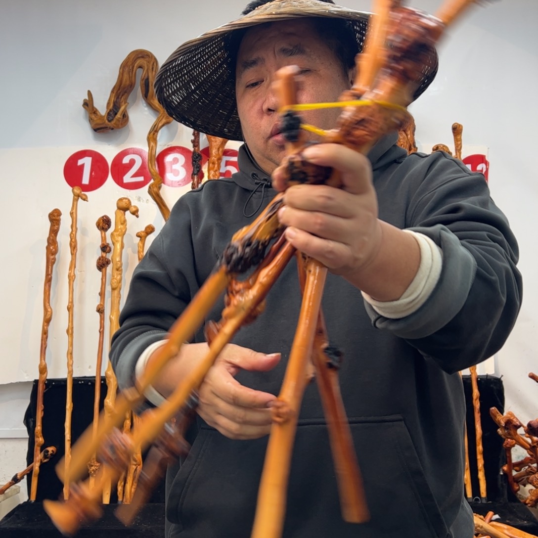 其他黑果木黑果木271