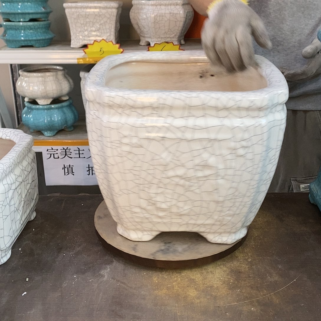 文瑕疵花盆花盆里的花