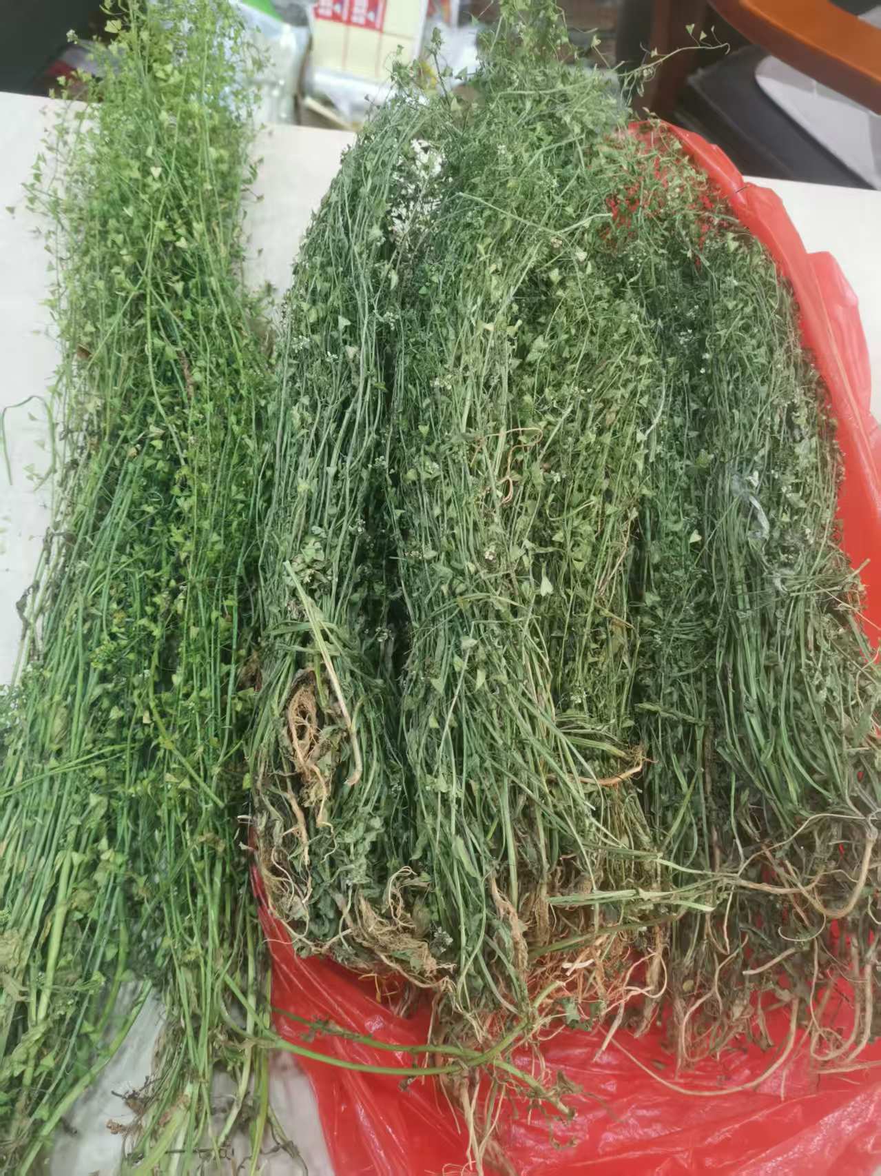 湖南荠菜煮鸡蛋希饭（海南甘肃内蒙古青海宁夏新疆西藏暂没发货）