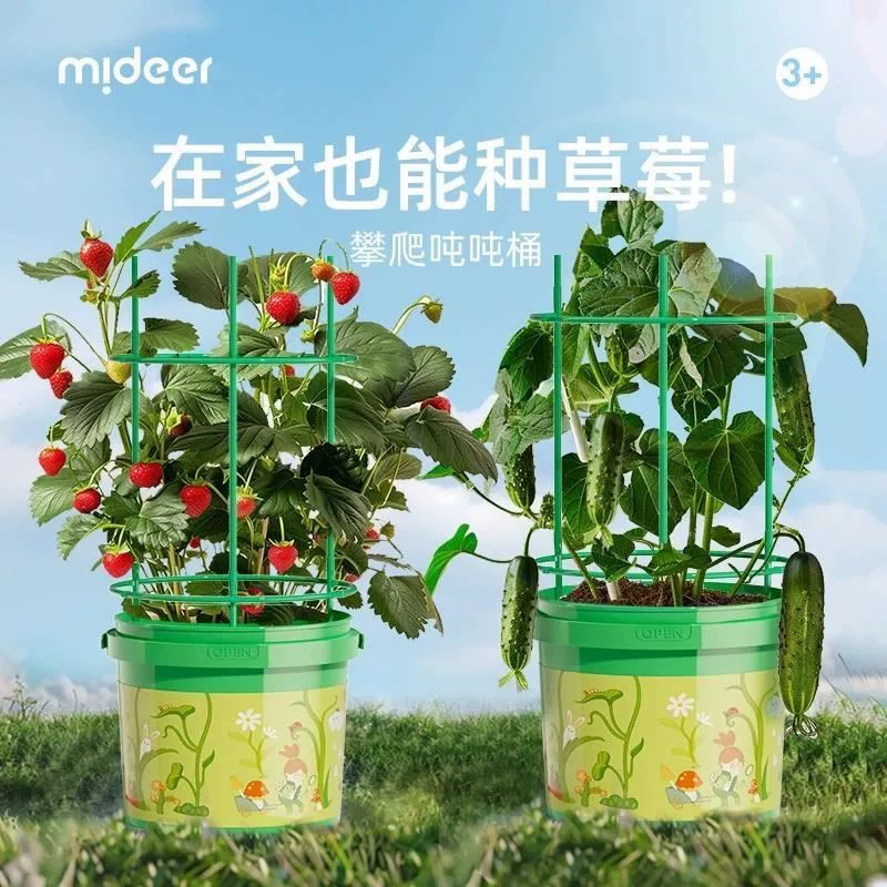 拾乐玩创儿童草莓种植吨吨桶攀爬蔬菜种植玩具diy种子种植套装