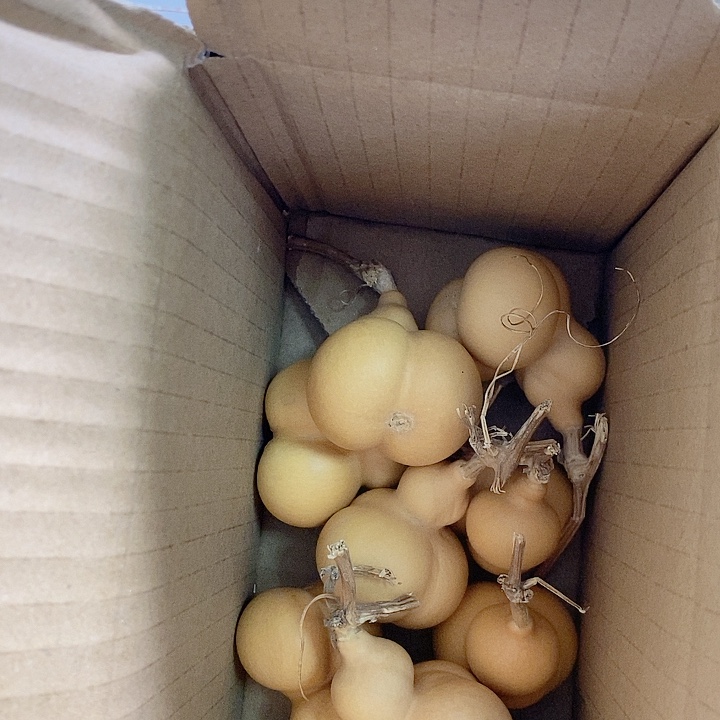 朋****店挑选金蟾葫芦链接