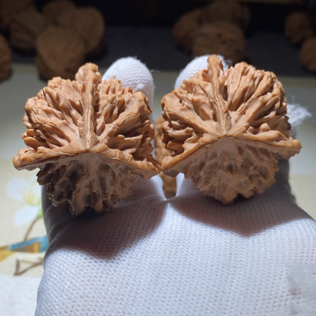 文玩核桃把件W****l帝王45全品